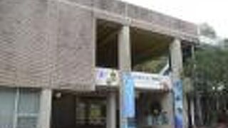 ティラノサウルスがいました。