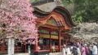 貞明皇后が植樹された！