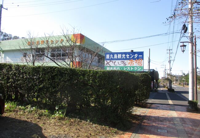 屋久島のお土産屋 直売所 特産品 クチコミ人気ランキングtop8 フォートラベル 鹿児島県 屋久島のお土産屋 直売所 特産品 クチコミ人気ランキングtop8 フォートラベル 鹿児島県