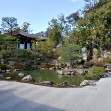 印象的な北側の庭。