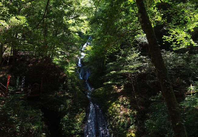 愛知県の自然 景勝地 クチコミ人気ランキングtop40 フォートラベル