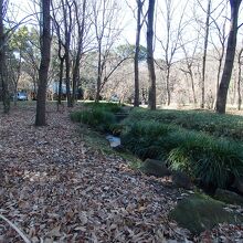 二の丸雑木林二の丸と小川