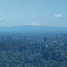 拡大するとこんな感じです。少々曇りがかっているのが残念