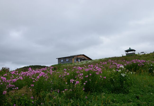 季節の花々を楽しめる公園