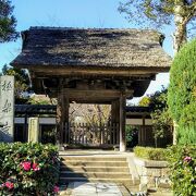 茅葺きの山門に風情がある『極楽寺』