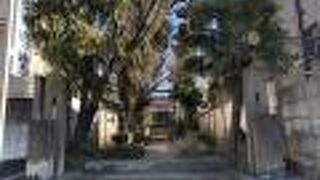 瀬谷本郷公園の北