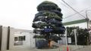 ここは生家跡です。