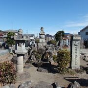 羽村草花丘陵歩きで禅林寺に寄りました