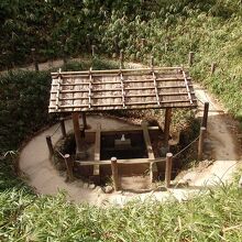 まいまいず井戸