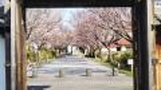 広くはないけど良い所