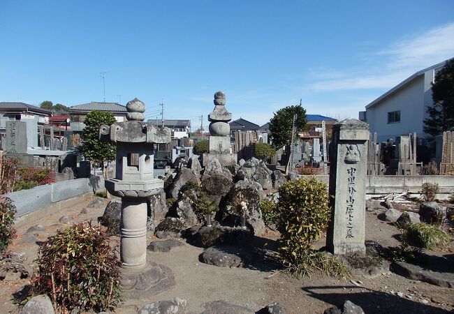 羽村草花丘陵歩きで禅林寺に寄りました