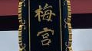 ニャンコがいる『梅宮大社 』…〈佐々木蔵之介さん〉の御実家のお酒も…