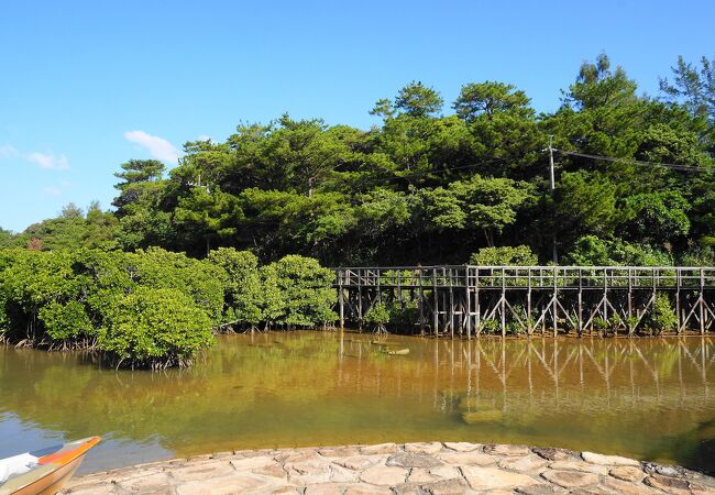 東村ふれあいヒルギ公園 クチコミ アクセス 営業時間 国頭 大宜味 フォートラベル