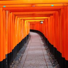 有名な千本鳥居の風景。