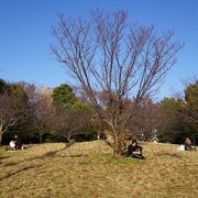 まあるい丘のような地形は芝生に覆われていて