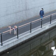 遊歩道が整備されています