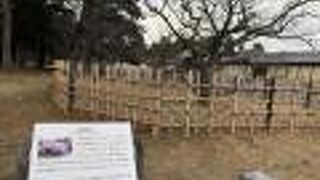 ２月はまだまだ