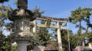 遠くからも良く見えます