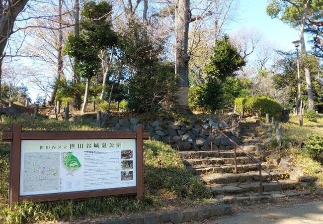 世田谷城阯公園 クチコミ アクセス 営業時間 三軒茶屋 駒沢 フォートラベル