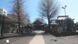 広い境内に立派な本堂があった