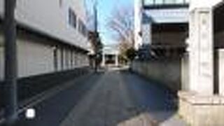 ビルの間の細長い参道が印象的。