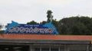 限定品もあります