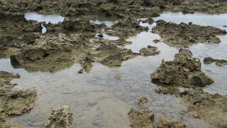 久米島北部の海岸にある潮だまり