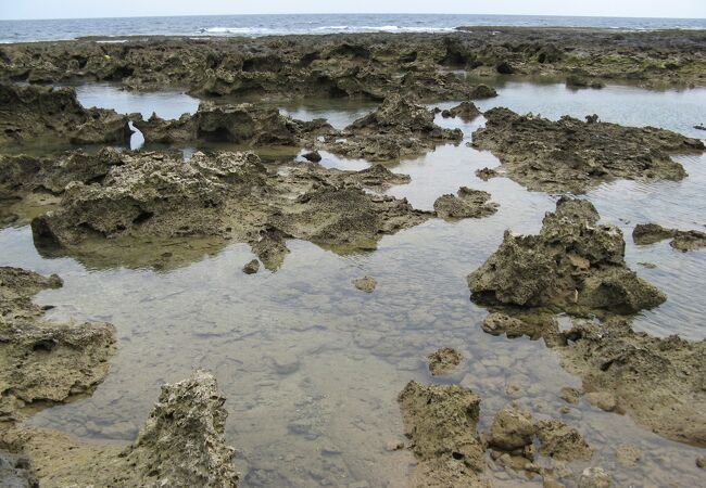 熱帯魚の家 クチコミ アクセス 営業時間 久米島 フォートラベル
