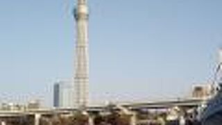 リバーサイドの公園