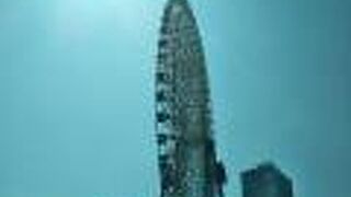 太陽のひかりを浴びて