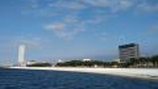 エリアによって管理に大きな差がありました