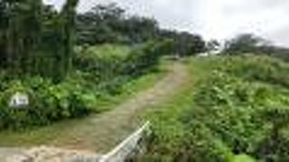 一部、散策可能！