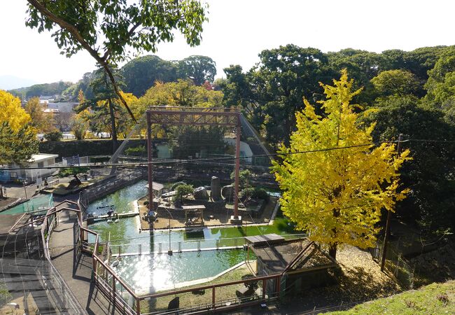 和歌山城公園動物園