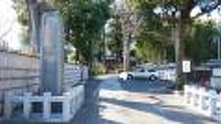 竹林があり、自然豊かで趣がある