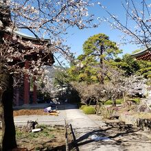 綺麗に整備されています