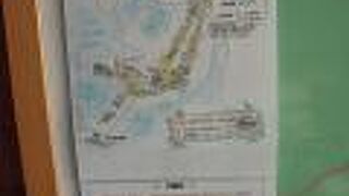 別海町の牛乳を使ったソフトクリームや別海牛乳などもあります。