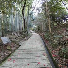 勝持寺石畳の坂の参道