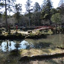 大原野神社鯉沢の池