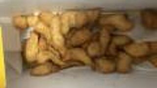 家族のお土産に金のとりから