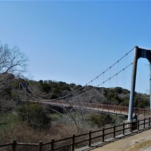 ４月中旬にはミツバツツジが咲きます。