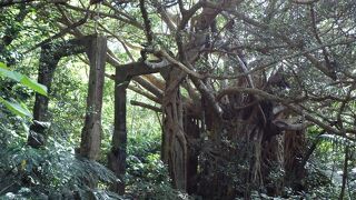 展望台は在りますが、近寄れません