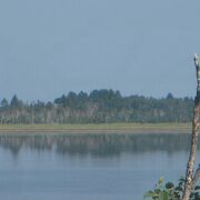 根室半島のつけねに位置する「春国岱」（しゅんくにたい）の野鳥や開花情報などの自然情報が得られます