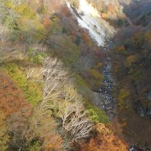 橋の上から見たつばくろ谷の上流