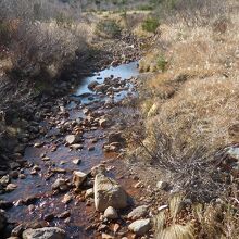 湿原を流れる小川