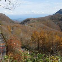 紅葉の中に走る九十九折りの道路