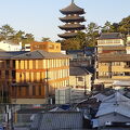 露天風呂から興福寺五重塔が見れる