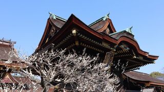 春の訪れを満喫