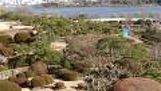 水戸偕楽園近くの湖沼