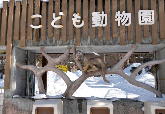 円山動物園 こども動物園 クチコミ アクセス 営業時間 札幌 フォートラベル