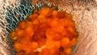 美味しいお寿司を堪能！